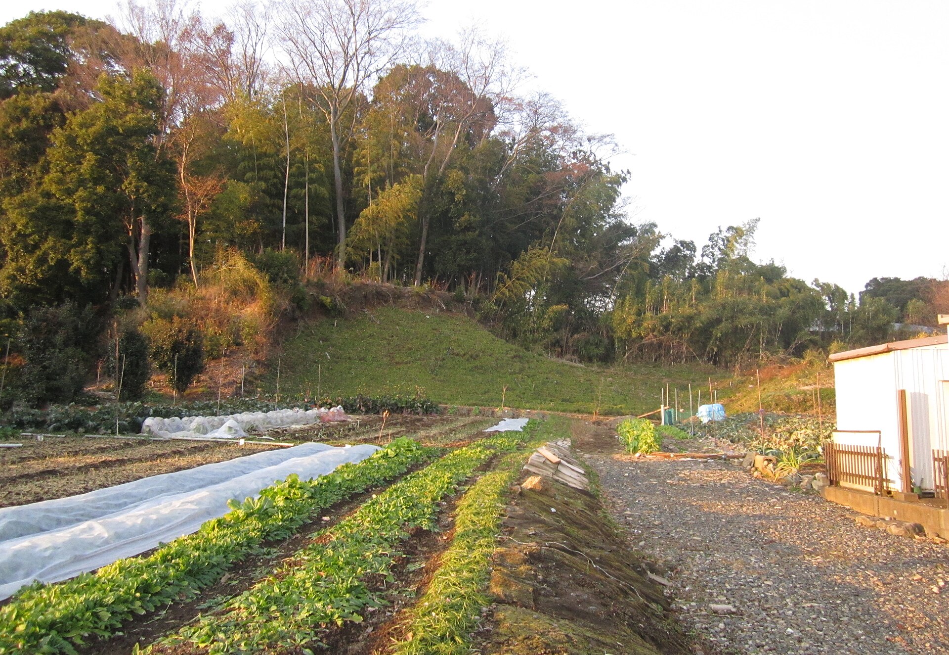埼玉県の風景